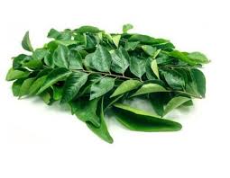 Curry Leaves 50 gm