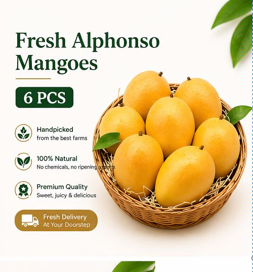 Fresh Alphonso Mango - 6 pcs