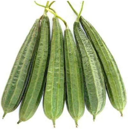 Turai