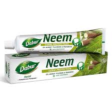 Dabur Antibacterial Neem Toothpaste 100 ml